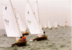 race974.GIF